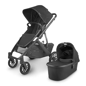 UPPAbaby Vista V2 Stroller / Convertible Single-To-Double System / Bassinet, Toddler Seat, Bug Shield, Rain Shield, and Storage Bag Included / Jake (Charcoal/Carbon Frame/Black Leather)