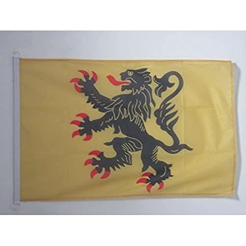 AZ FLAG - Drapeau Nord-Pas-de-Calais Spécial Extérieur - 90x60 cm - Pavillon Nautique Province...