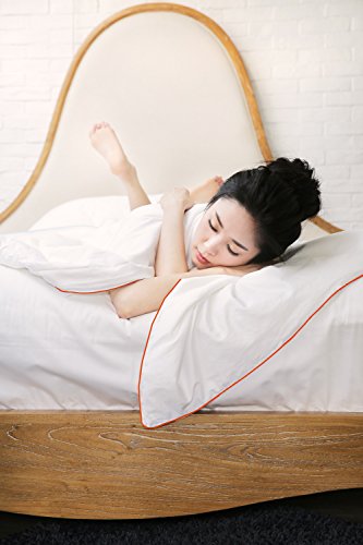 Silk Camel Luxury Comforter Filled With 100% Natural Long Strand Mulberry Silk For Fall/Autumn - Queen Size #TOP1