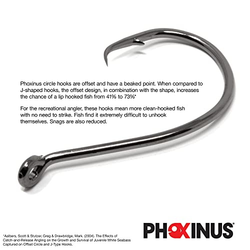 Phoxinus Circle Hooks, Freshwater and salt water fishing hooks, Ideal for Pike Cod Bass Pollock Conger Tope and more - Image 3