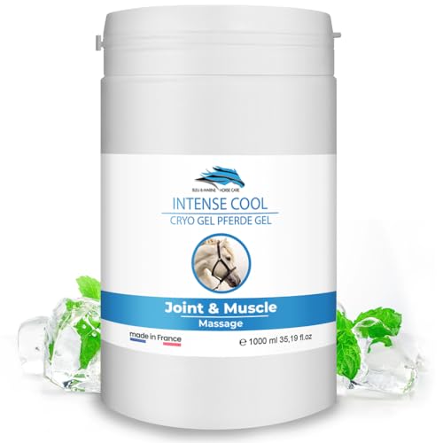 VET CRYO FORTE Gel Efecto Frío Caballos & Mascotas Crioterpia. Bálsamo Refrescante Dolores Musculares y Articulares. Crema de Masaje Caballo Circulacion Piernas CRIOGEL - 1000 ml 1 L
