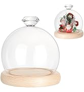 Cupole Di Vetro Con Base Legno NBEADS - 2 Pezzi, Per Decorazioni E Display - Foto 9