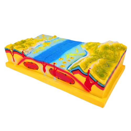 Modelo de tectónica de placas 3D y kit de terreno de geografía para colegio