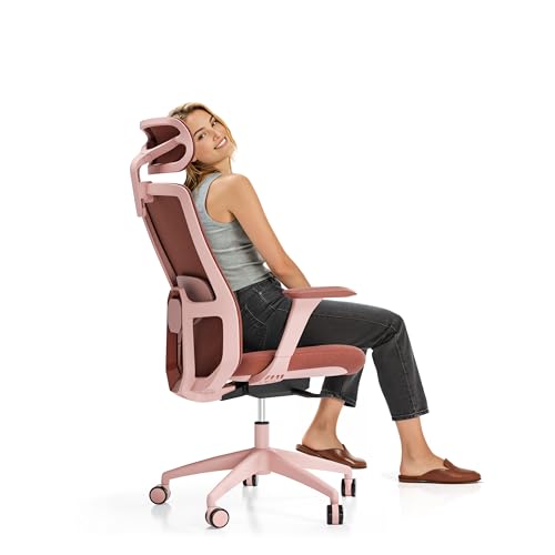 professional ergonomic chair customer opinions product image