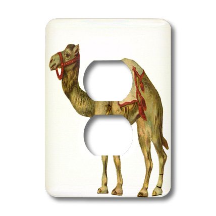 Circus Cache-sortie Camel pour masquer les fils électriques apparents - 4