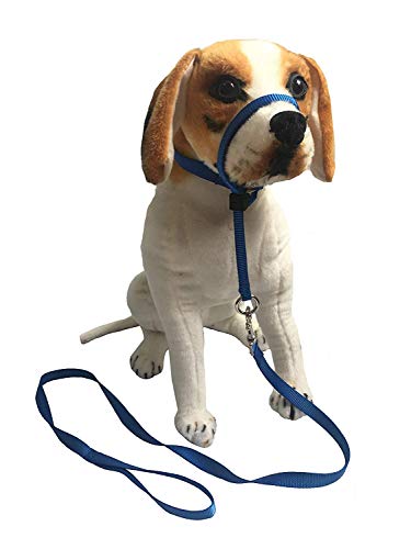 Charmsong Headcollar Halter Painless Durable Head Collars for Training Blue S