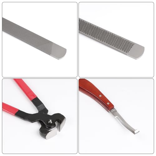 LALAGO 4 Pièces Soins des Sabots pour Chevaux, Pince à Sabot, Coupe-Sabot, Râpe avec Poignée, Gants, Râpe pour Sabot avec Poignée Caoutchouc – vue 3