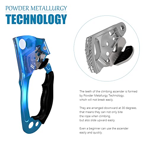 CAMNAL アッセンダー