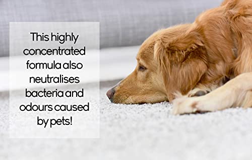 Pro-Kleen Professional Carpet & Upholstery Shampoo 10L - Citrus & Spring Bloom Fragrance - High Concentrate Cleaning Solution - Suitable For All Machines - Image 3