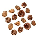 Décorations pour la maison : les pommes de pin apportent une touche rustique à une table, qu’elles soient disposées dans un bocal ou un bol. elles peuvent également servir de décorations pour le sapin de noël