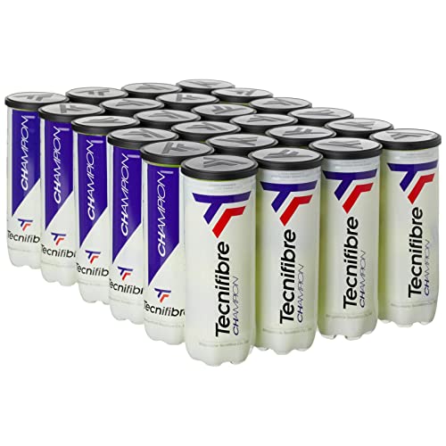 Tecnifibre Champion Tennis Balls, Case