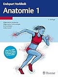 Endspurt Vorklinik: Anatomie 1: Die Skripten fürs Physikum