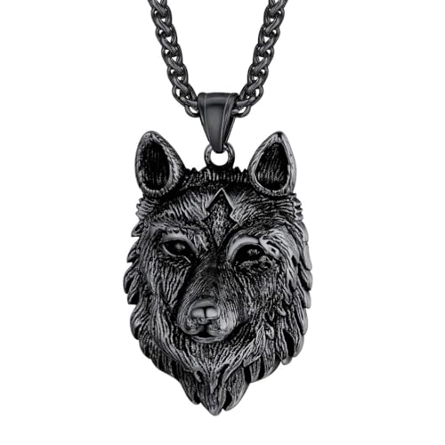 U7 Punk Chameleon/Eagle/Dragon/Hawk/Wolf Necklaces for Men Women, Retro Black Stainless Steel Animal Pendant Personalized Jewelry Gift Cool Necklace w