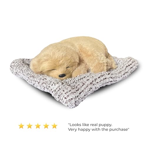 Image of Sleeping Soft Toy Car Dashboard Showpiece Soft Plush Stuffed Dog Realistic Puppy Figurine with Bamboo Charcoal for Home Decor, Car, Office and Gift (25 x 20 cm)