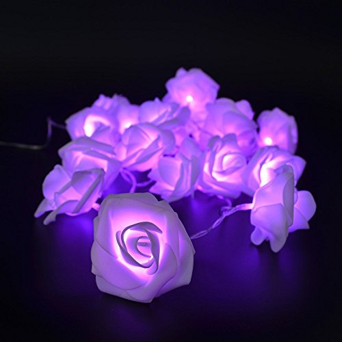 Avanti 20 Led Battery Operated String Romantic Rose Flower Fairy Light Lamp Outdoor for Valentine's Day, Wedding, Room, Garden, Christmas, Patio, Festival Party Decor (Purple)