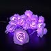 Avanti 20 Led Battery Operated String Romantic Flower Rose Fairy Light Lamp Outdoor for Valentine's Day, Wedding, Room, Garden, Christmass, Patio, Festival Party Decor (Purple)