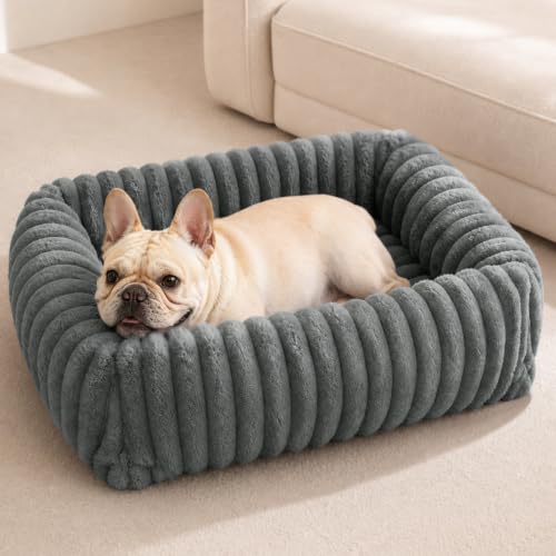 Image of FURTIME Washable Dog Bed for Small Dogs, Cat Beds for Indoor Cats, 20 inch