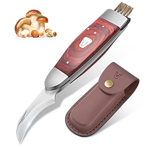 JASON Cuchillo para setas con cepillo Navaja para setas profesional Cuchillo plegable para exteriores con funda de PU para recoger setas Navaja champiñon