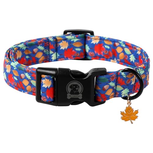 ·MR. CHUBBYFACE· Fall Blue Leaves Dog Collar for Large Dogs L