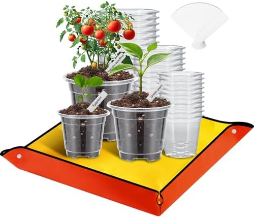 Vasi Da Coltivazione Trasparenti 12 Pezzi - Con Base In Silicone E Fori Di Drenaggio Per Piante