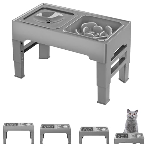 Lifetips ueBbVV[gwA British Shorthair Lp H t[h{EX^h {E  ܂肽 pT|[g Hׂ₷ Hh~ 􂢂₷ ~  i4iK O[j