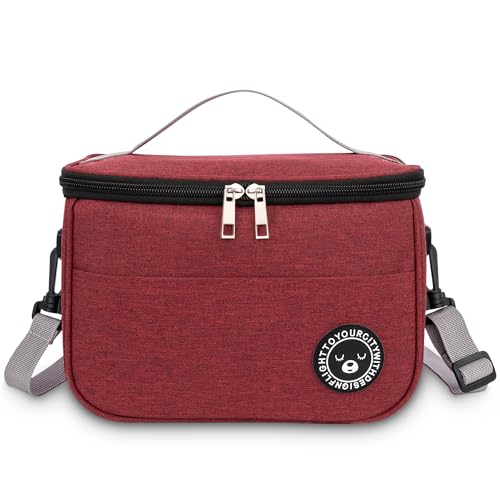 BEHONA 6.4L Insulated Lunch Bag for Adults, Foldable Cooler Bag with Oxford Fabric & Aluminum Foil Lining, Office Gym Commute Lunch Tote (Burgundy)