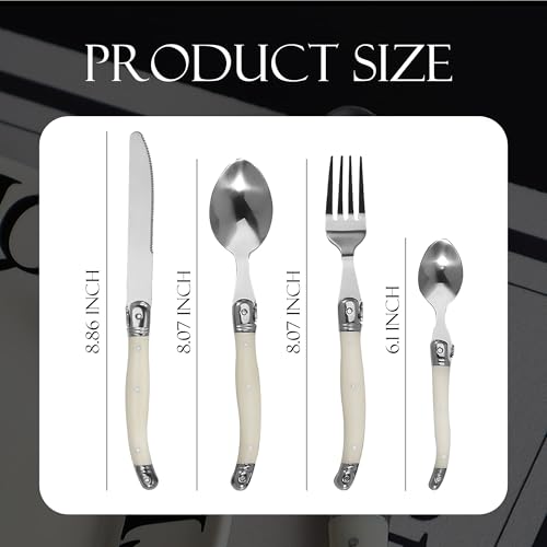 Set Cuchillos Cocina 24 Piezas Acero Inox Base miniatura 3
