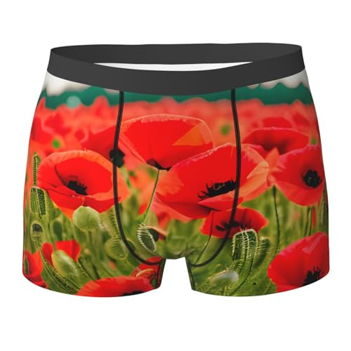 yyunbmr - Men's Funny Boxer Briefs 3D Cut Out Shorts Fashion Shorts for Men Poppy Flowers Vivid Petal Print Black XXL