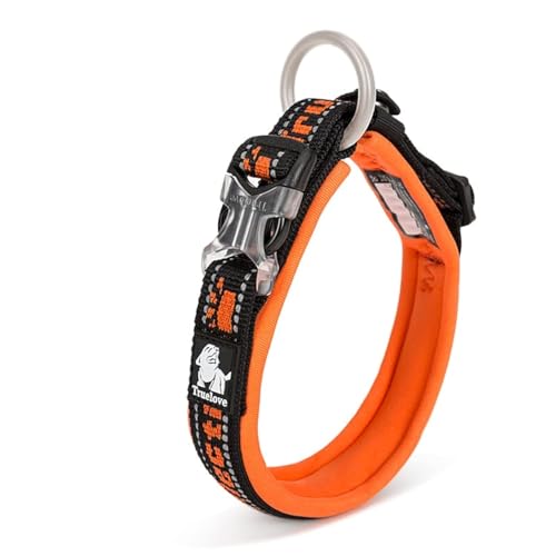 WINHYEPET True Love Collier pour Chien réfléchissant, Sangle Nylon Boucle réglable Confortable et sûre, Pratique pour Les promenades pour Les Petits Chiens Anneau de Cou TLC50121