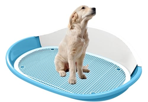 yZixuiz^ChgCg[ gщ\ Rې t`t ~ߋ@\ g[jOp O N21