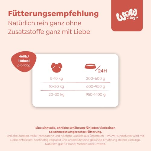 WOW Dog Hunde-Nassfutter mit Lachs 6 x 800g | ohne Getreide & Zucker