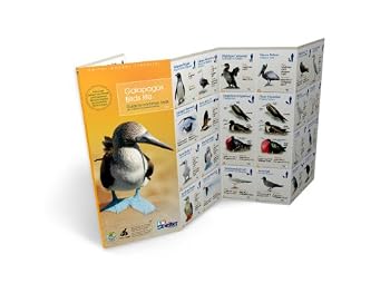 Pamphlet Galapagos Birds Life (submersible field-guide) (English and Spanish Edition) Book