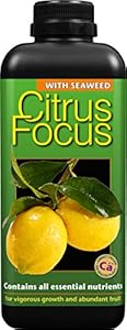 1-Liter-Citrus Focus Obstdünger für Zitrusbäume
