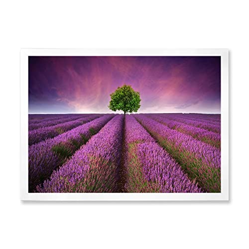 DesignQ Stunning Lavender Field Summer Sunset With Tree Farmhouse Framed