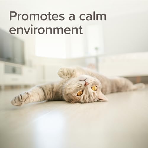 Beaphar – StressLess Herbal Calming Home & Travel Spray – Promotes a Calm Environment for Cats & Dogs at Home or In Car – Reduces Stress & Anxiety - With Valerian Extract – 125ml Spray - Image 5