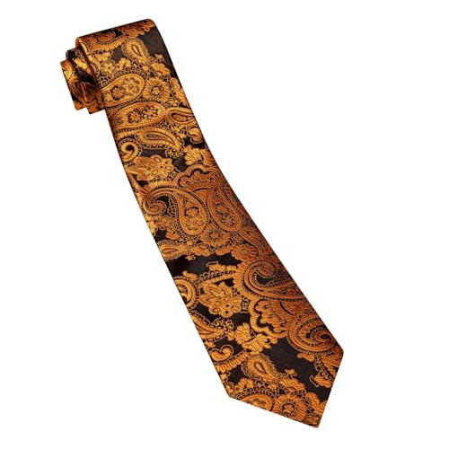 Image of Barry.Wang Paisley Tie for Men Silk Woven Necktie and Tie Clip Set Wedding Party Business Formal