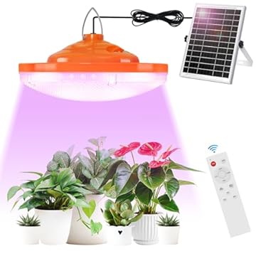 solar powered heat lamp for greenhouse