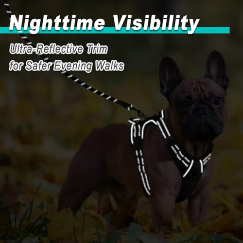 BARKBAY Dog Harness No Pull for Small Dogs - Adjustable, Reflective, Comfortable, No Choke, Heavy-Duty - Perfect for Outdoor Training, Walking, and Hiking - Strong & Durable - XS & Black by BARKBAY - Image 5