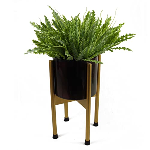 Leaf Design Artificial Plants, Crocodile Fern, 40cm LEAFFERNS0834 - Image 2