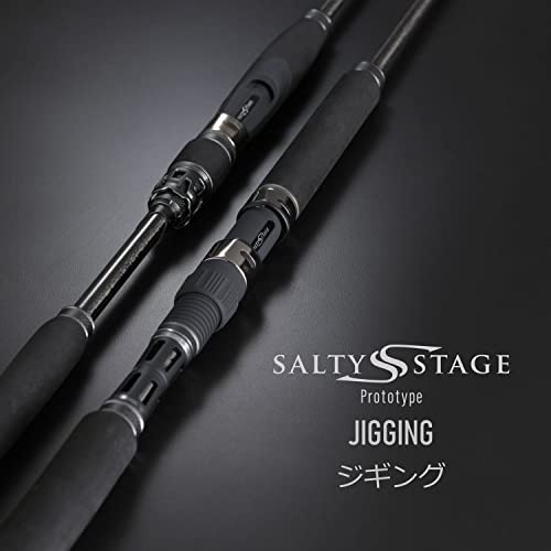 AbuGarcia (アブガルシア) ソルティーステージプロトタイプ ジギング SaltyStageProtoType Jigging XJGS-61-2-MAX200 2枚目