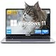 Laptop bis 400 Euro: Blackview Acebook 6, 15,6 Zoll, Quad-Core, 16GB RAM, 256GB SSD