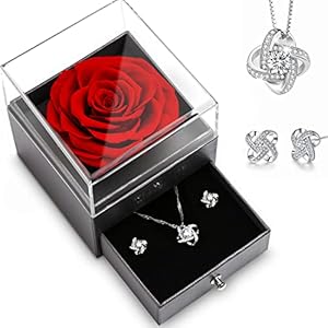 Elekin Eternal Rose Geschenkdoos, Eeuwige Bloem Geschenkdoos Met Oorbellen en Ketting, Voor Vrouw Verjaardagscadeau, Moeder Cadeau, Vakantie Cadeau, Valentijnsdagcadeaus, Kerstcadeaus