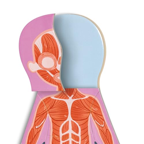 Hape Puzzle Magnetico Del Corpo Umano – Set Di Puzzle Tematici Per Bambini, Gioco Di Logica E Sviluppo Delle Abilità Motorie - 6