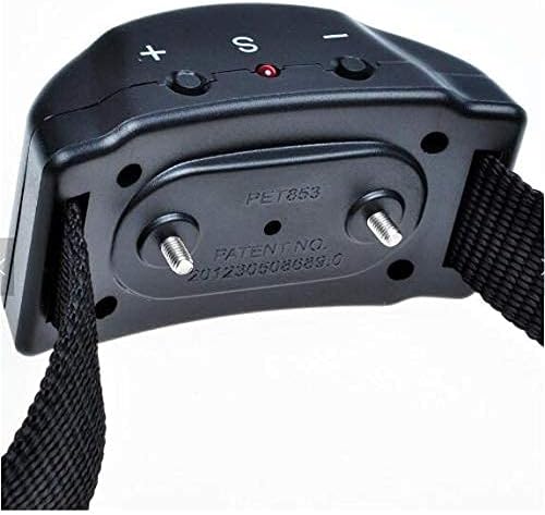 Utilisation du collier anti-aboiement en extérieur