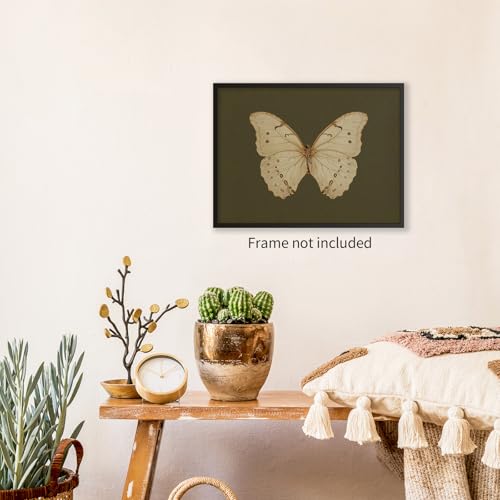 Sufeasdf Vintage White Butterfly Canvas Wall Art Dark Moody Insect Room Aesthetic Poster Nature Country Green Print Antique Moth Artwork for Home Bedroom Dorm Gallery 11x14in Unframed - Thumbnail 3