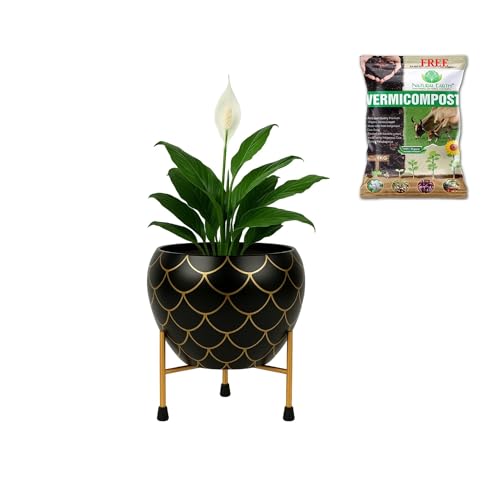 Image of Natural Earth Metal Flower Vase Planter Pot with Iron Stand | Decorative Plant Cachepot for Indoor & Outdoor Use | Succulent Pot for Home & Garden Decor (Black Gold Nest)