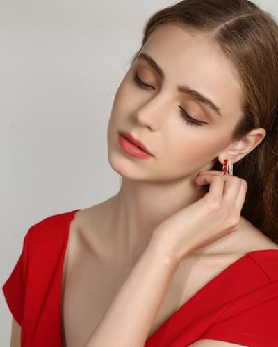 Lourny Double Hoop Crystal Earrings for Women,18K Gold/Silver Plated Illusion Huggie Cubic Zirconia Hoop Earrings Jewelry Gifts3