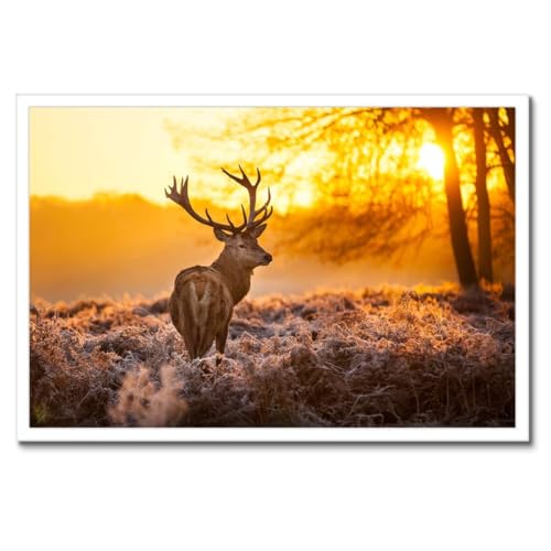 Poster cerf au lever du soleil cadre noir pour mur vide