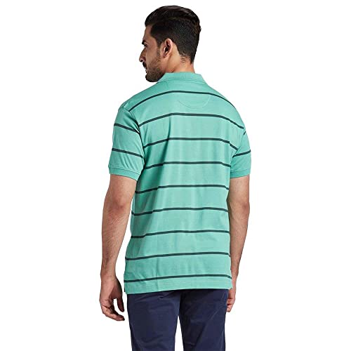 Image of Colorplus Men's Pure Cotton Stripe Pattern Classic Fit Polo Neck Half Sleeve Casual T-Shirt