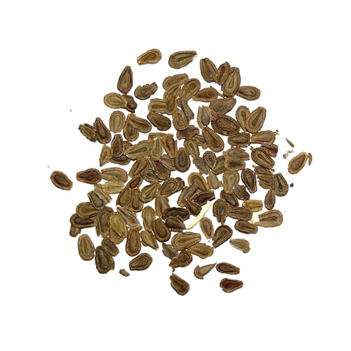 Image of Seed Needs Pink Common Milkweed Seeds for Monarch Butterflies 1 Pack